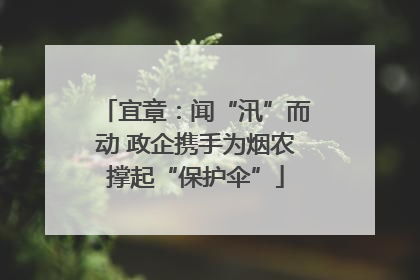 宜章：闻“汛”而动 政企携手为烟农撑起“保护伞”